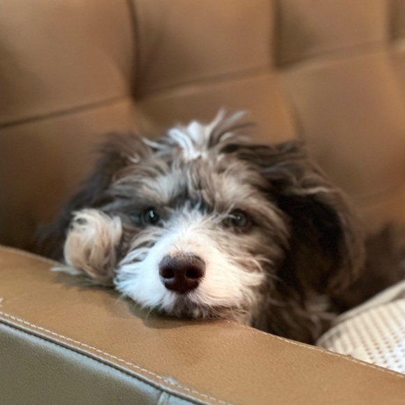 Meet your Posher, Jill - Picture 10 of 16